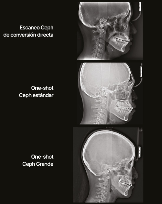 Modalidad Ceph Opcional