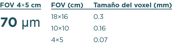 Tamaño del voxel